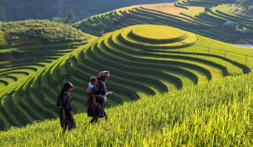 things to see and do in vietnam 7