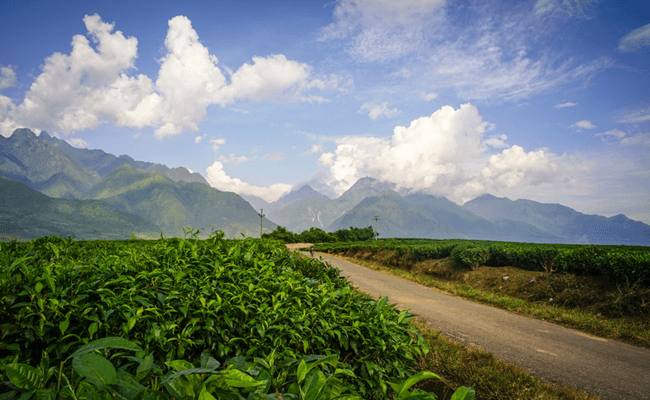 best time to travel to mai chau 9
