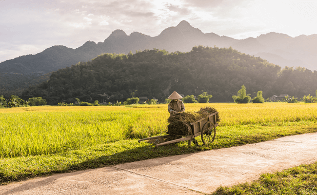 best time to travel to mai chau 3